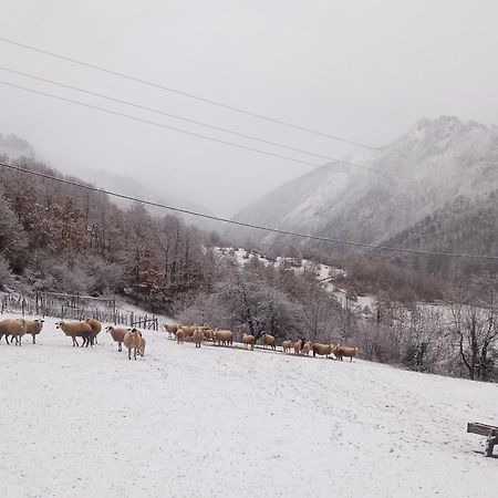 Family Owned Self Sufficient Eco Farm Tara Hotel Pljevlja Exterior photo