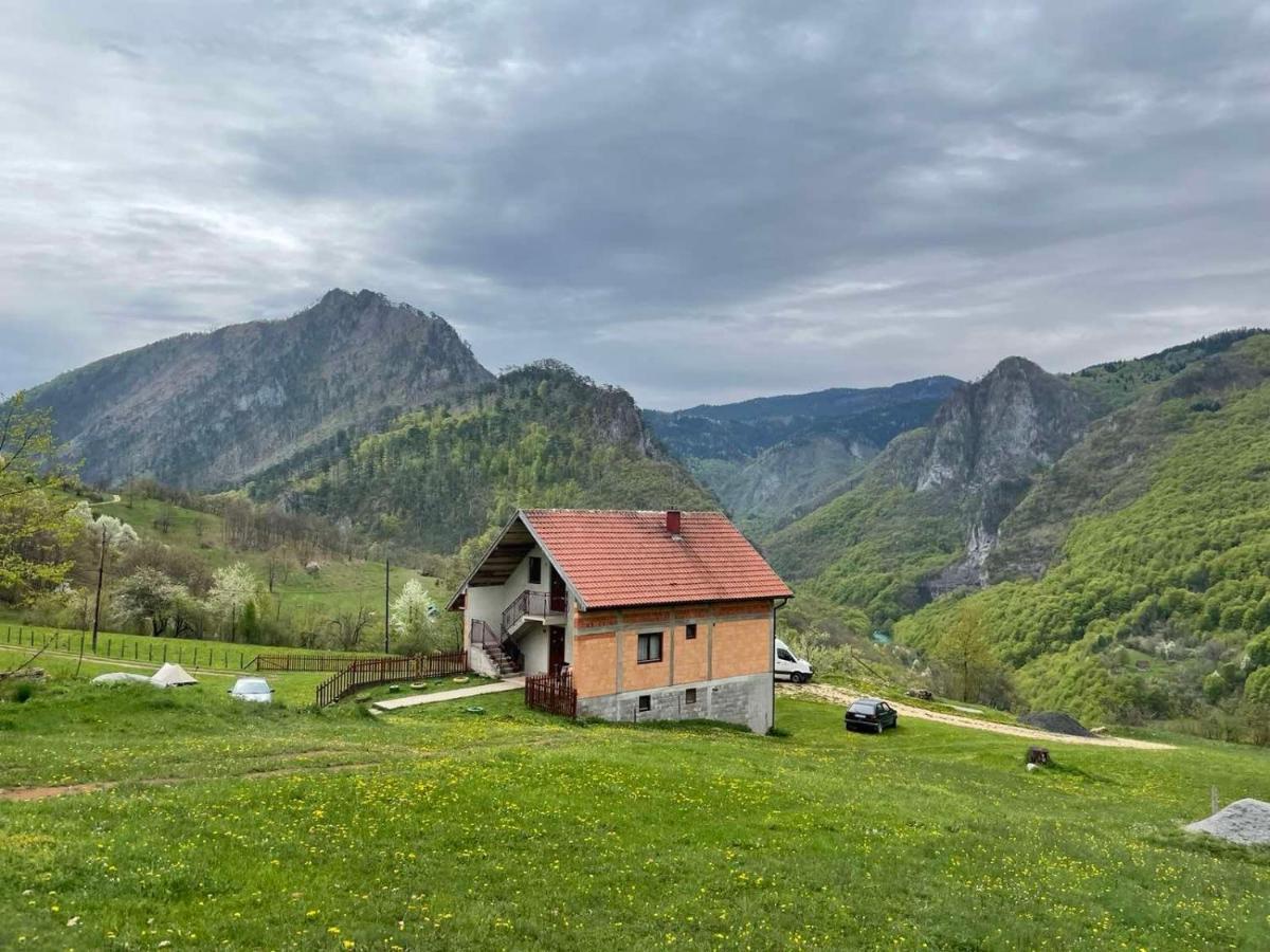Family Owned Self Sufficient Eco Farm Tara Hotel Pljevlja Exterior photo
