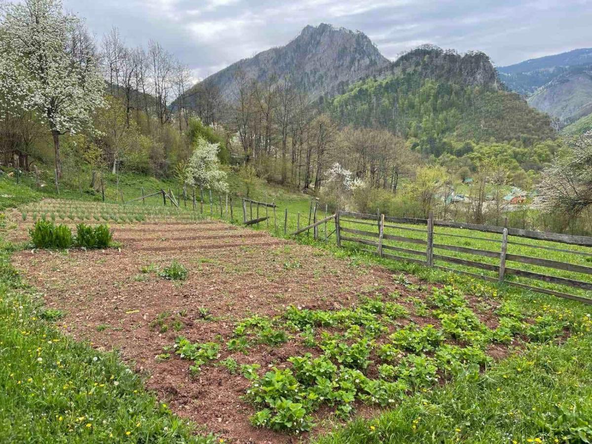 Family Owned Self Sufficient Eco Farm Tara Hotel Pljevlja Exterior photo