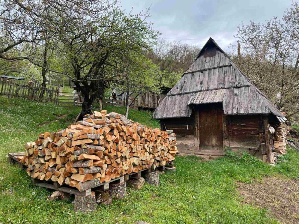 Family Owned Self Sufficient Eco Farm Tara Hotel Pljevlja Exterior photo